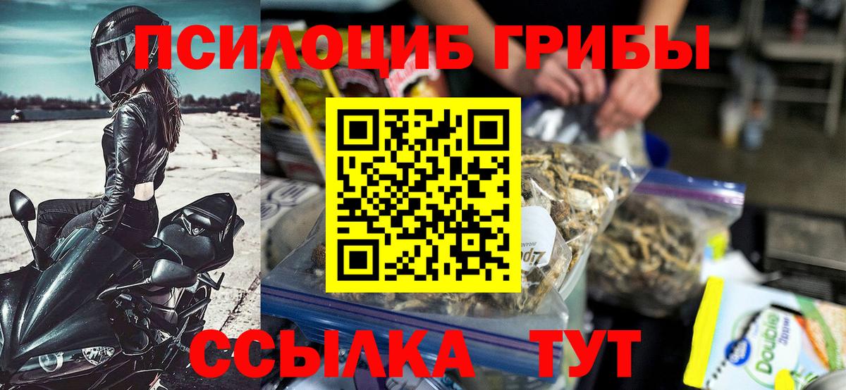 Псилоцибиновые грибы Psilocybine cubensis Изобильный